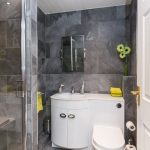 Pivot Shower Door