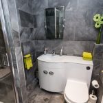 Pivot Shower Door